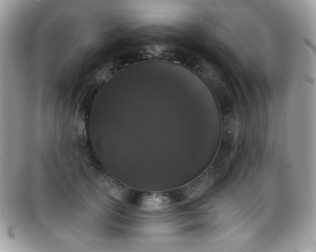 X0000099300754200805021231