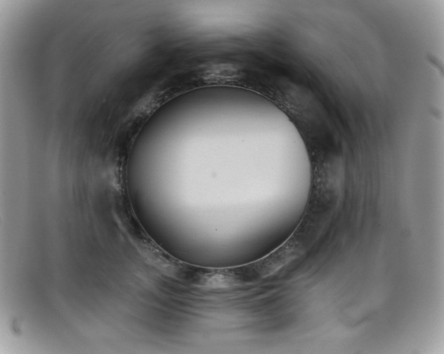 X0000099300755200805021231