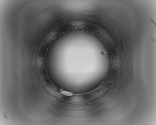 X0000099300756200805021231