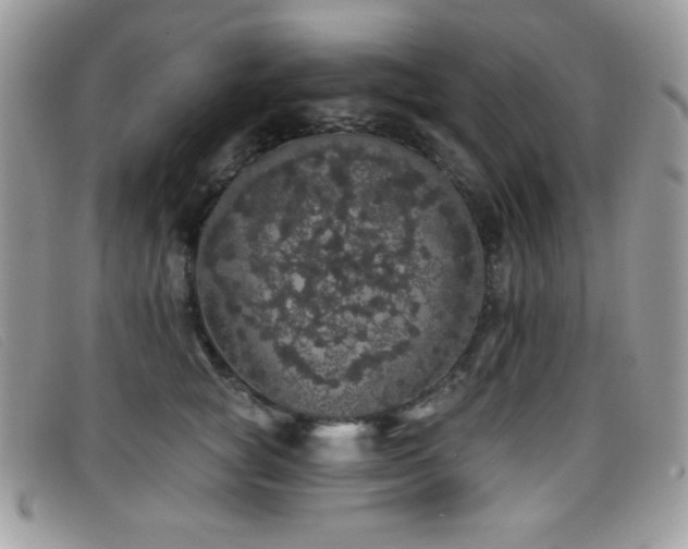 X0000099300757200805021231