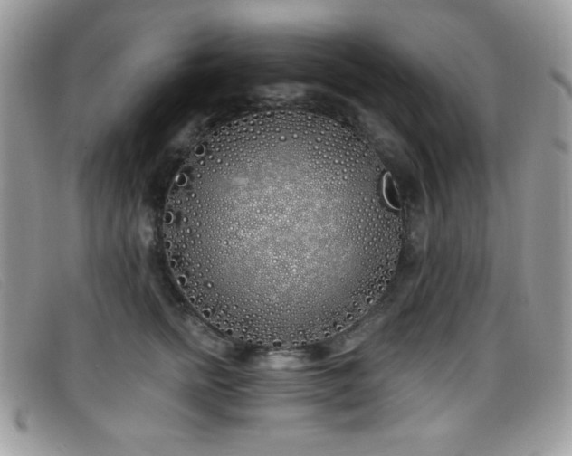 X0000099300758200805021231