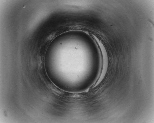 X0000099300759200805021231