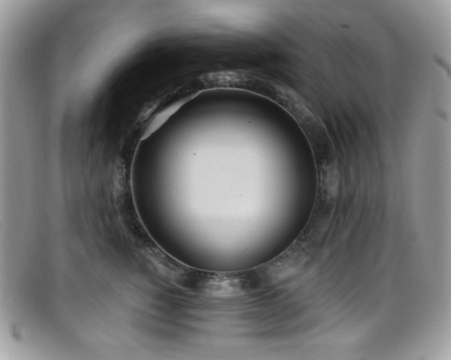 X0000099300760200805021231