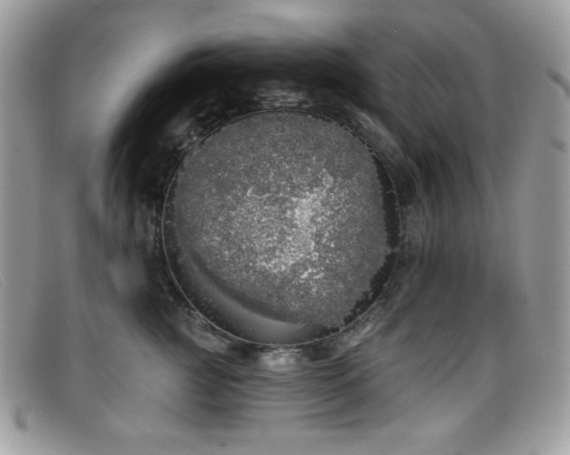 X0000099300761200805021231