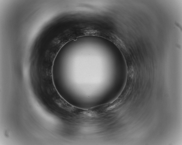 X0000099300763200805021231