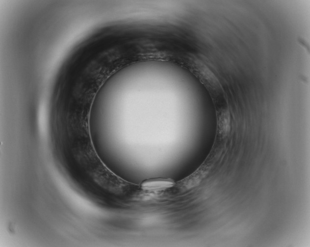 X0000099300764200805021231