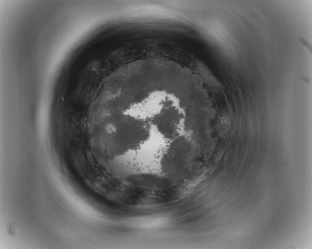 X0000099300765200805021231