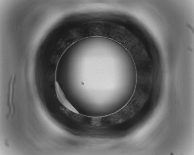 X0000099300766200805021231