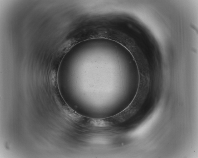 X0000099300767200805021231