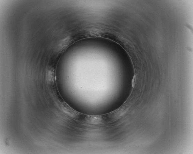 X0000099300768200805021231