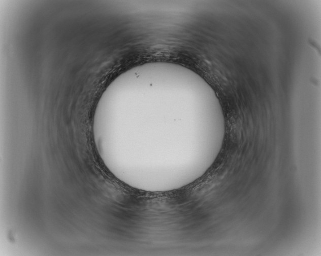 X0000099300769200805021230