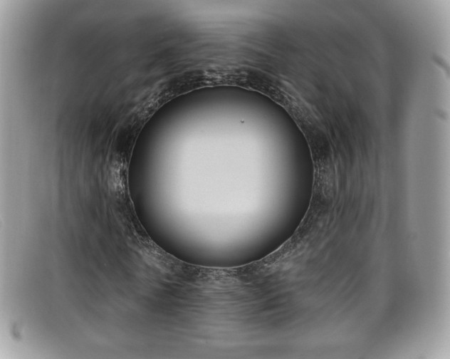 X0000099300770200805021230