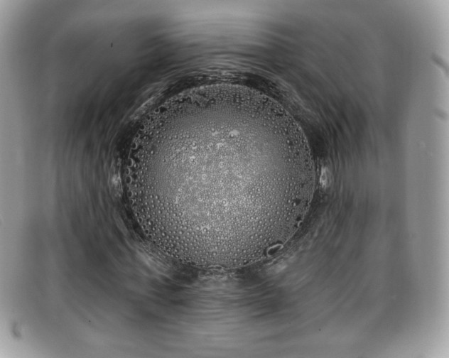 X0000099300771200805021230