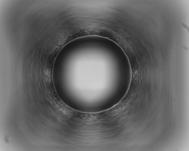 X0000099300772200805021230