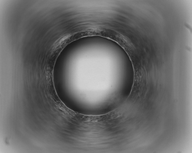 X0000099300773200805021230