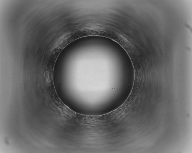 X0000099300774200805021230