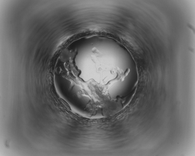 X0000099300776200805021230