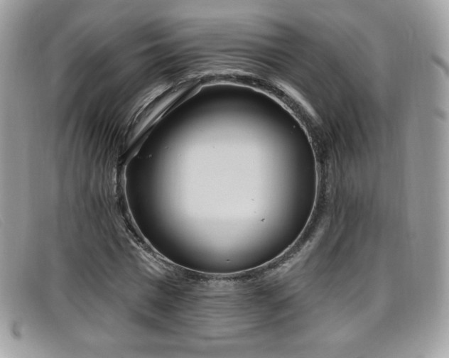 X0000099300777200805021230