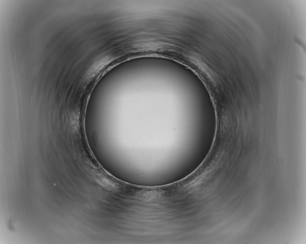 X0000099300778200805021230