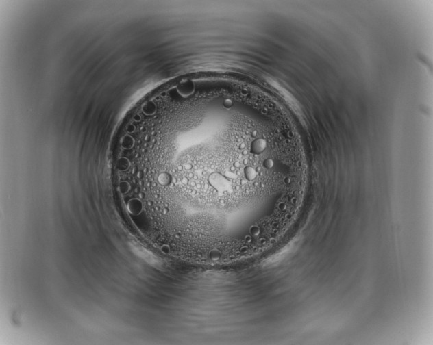 X0000099300779200805021230