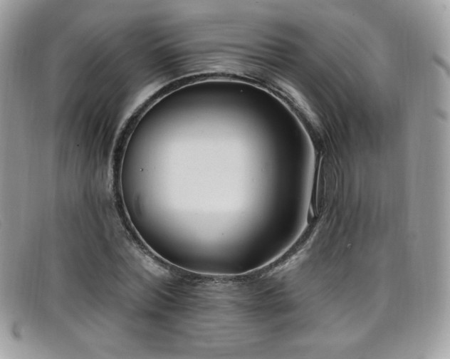 X0000099300780200805021230