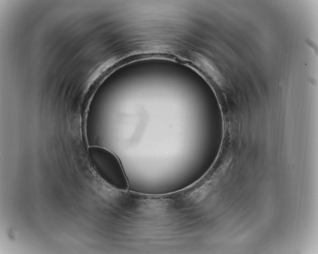 X0000099300781200805021230