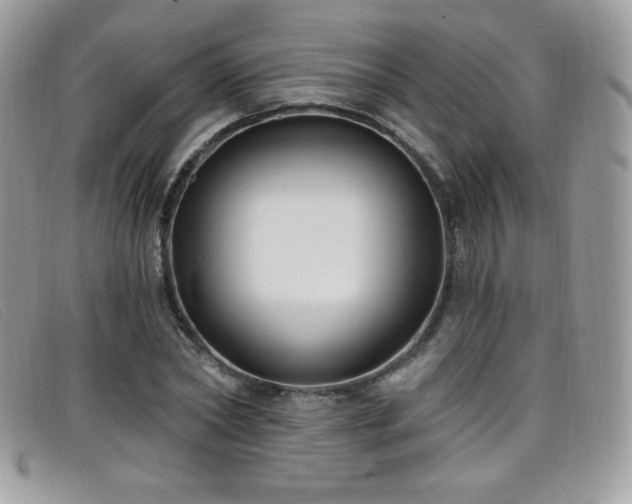 X0000099300782200805021230