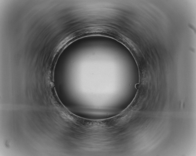 X0000099300786200805021230