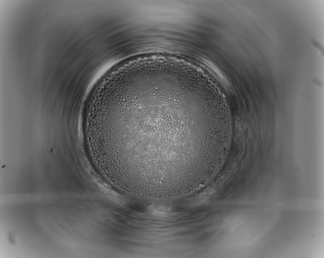 X0000099300788200805021230