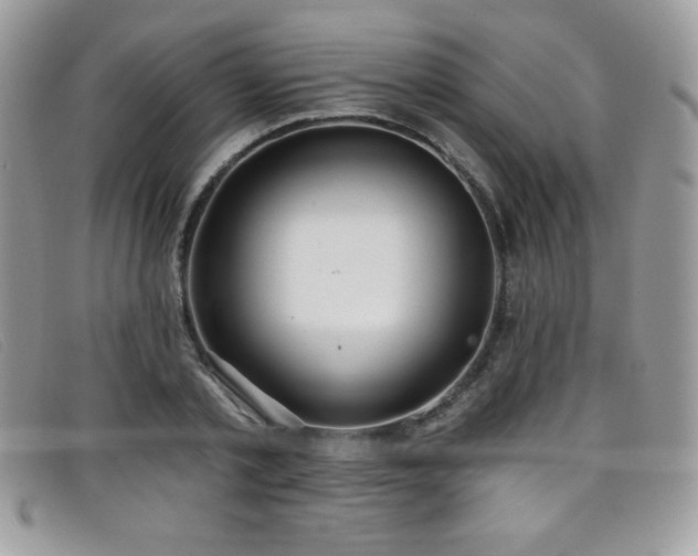 X0000099300789200805021230