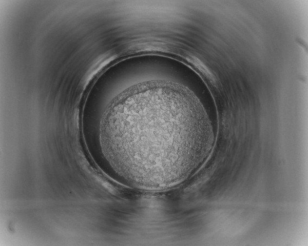 X0000099300790200805021230