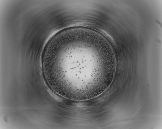 X0000099300792200805021230