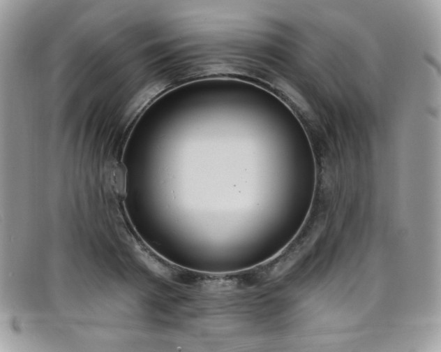 X0000099300793200805021230