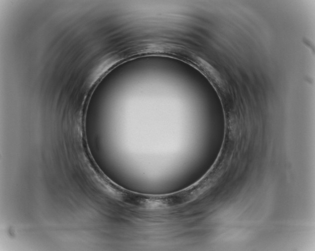 X0000099300794200805021230