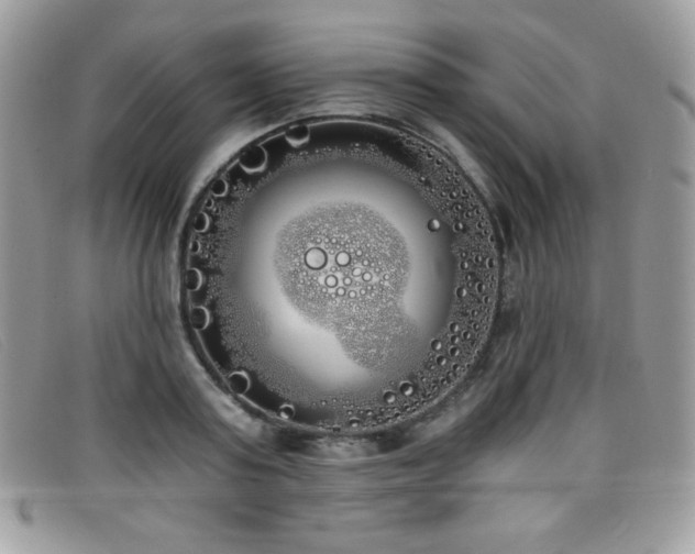 X0000099300795200805021230