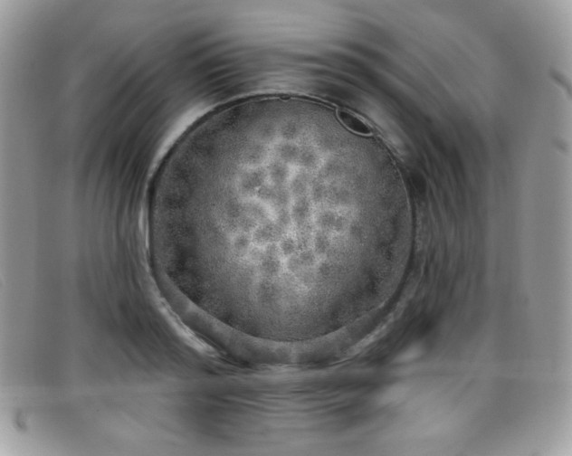 X0000099300796200805021230