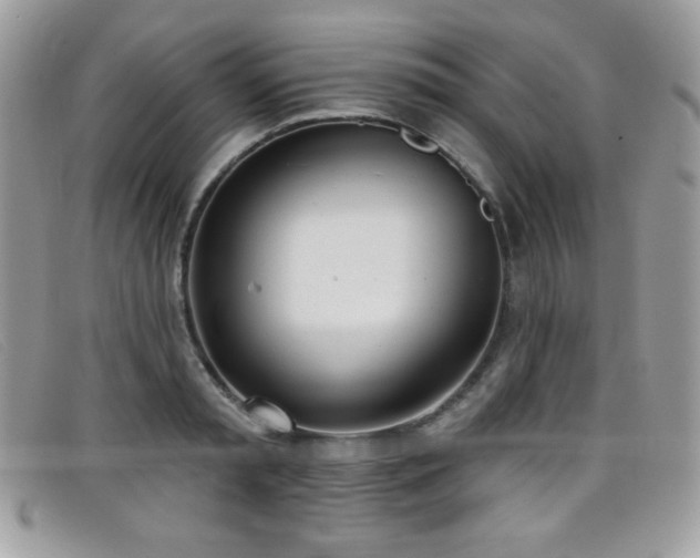 X0000099300797200805021230