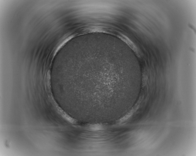 X0000099300798200805021230