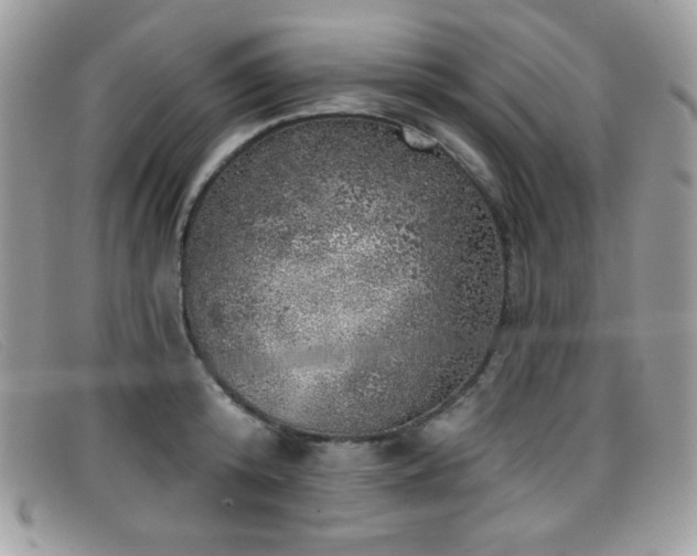 X0000099300800200805021230