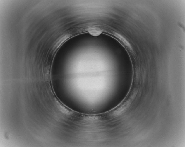 X0000099300801200805021230