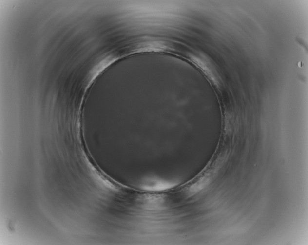 X0000099300802200805021230