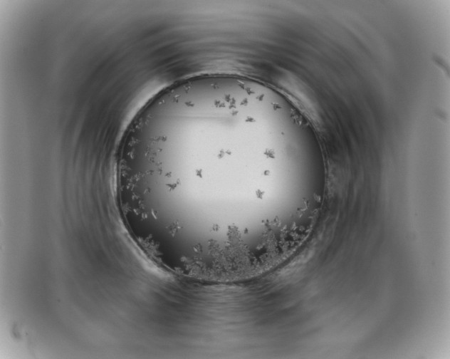 X0000099300804200805021230