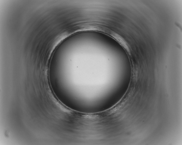 X0000099300805200805021230