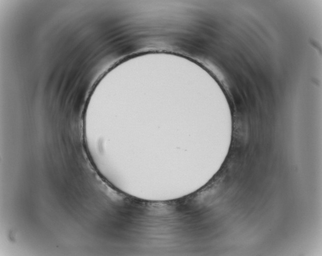 X0000099300807200805021230