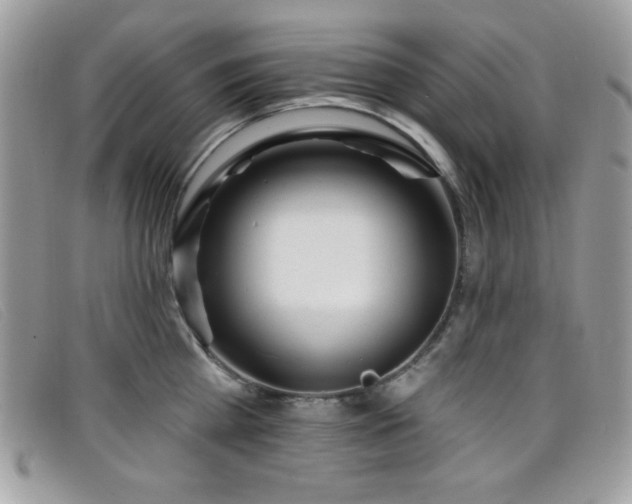 X0000099300809200805021230