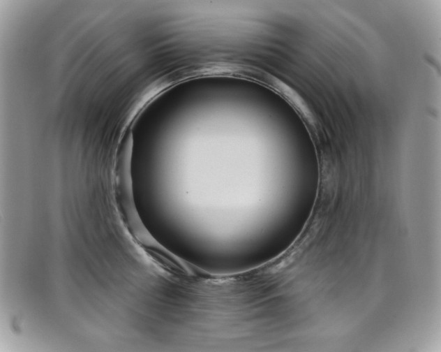 X0000099300810200805021230