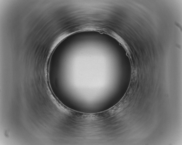 X0000099300811200805021230