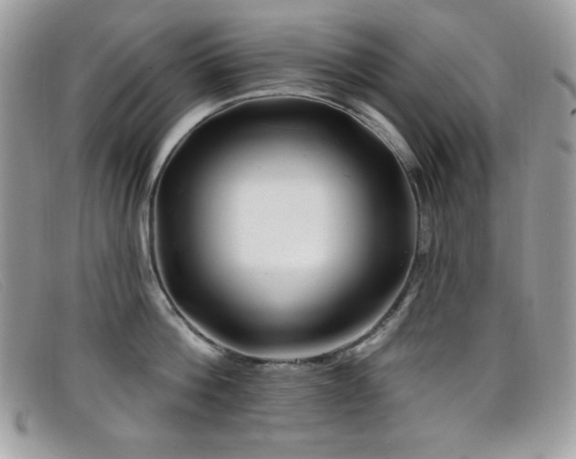 X0000099300812200805021230