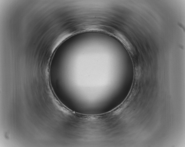 X0000099300814200805021230