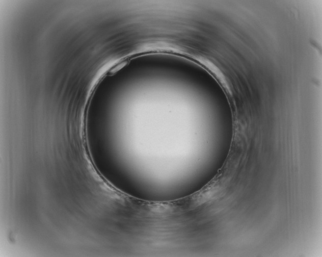 X0000099300815200805021230